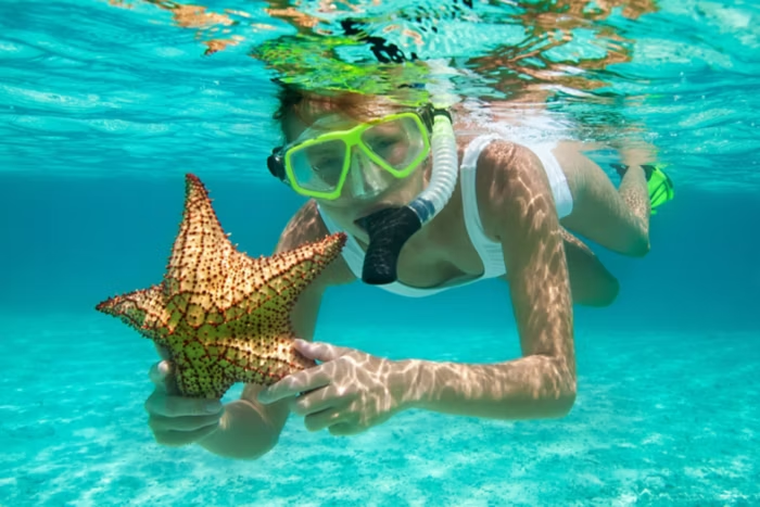 Cool Down in the Caribbean